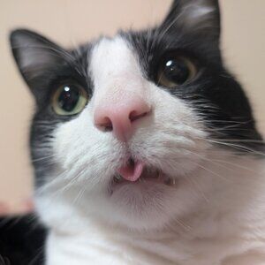 Meet your Posher, Naila